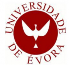 Université d’Évora  Summer School - A S I H V I F